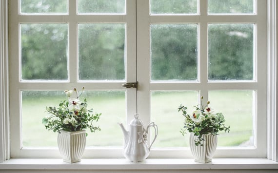At_Home_Window_Plants