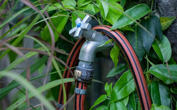 Outside_Garden_Hose