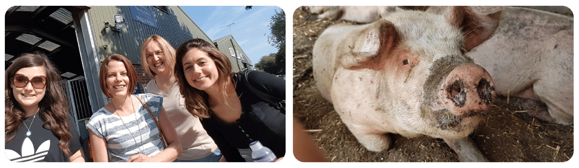 ferring_country_centre_homewise_blog