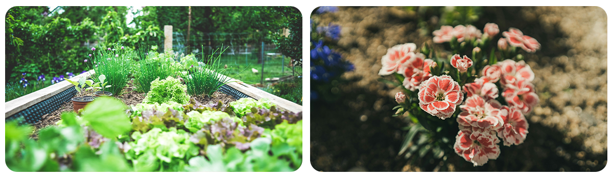 flower_beds_gardening