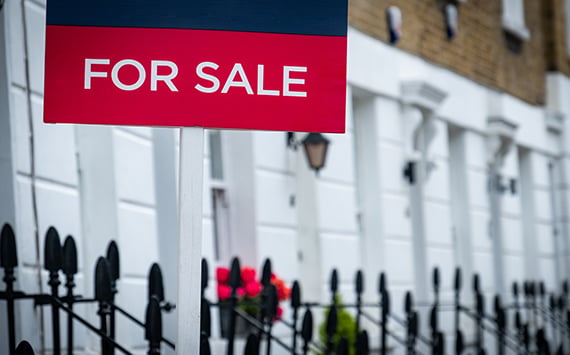 Free Listings for Sellers | Market Plus