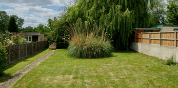 large_garden_willow_tree
