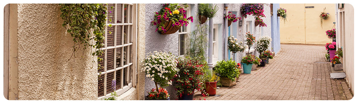 row of houses in a lane