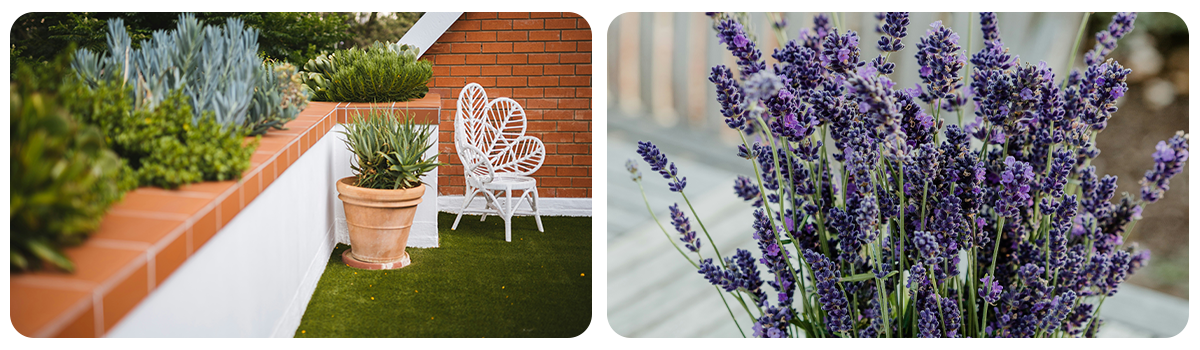small_garden_lavender_pot