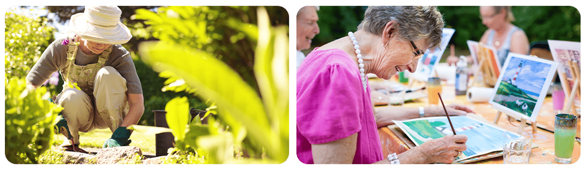 social_activities_gardening_painting