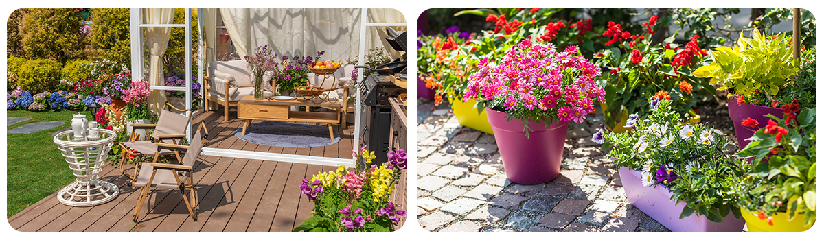 sunny_garden_potted_flowers