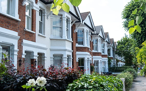 terraced_houses_leaves