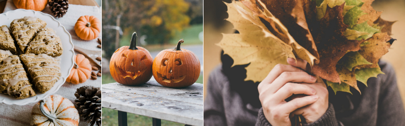 Halloween pumpkins and autumn leaves