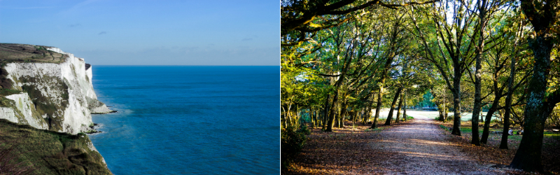 Cliffs and New Forest